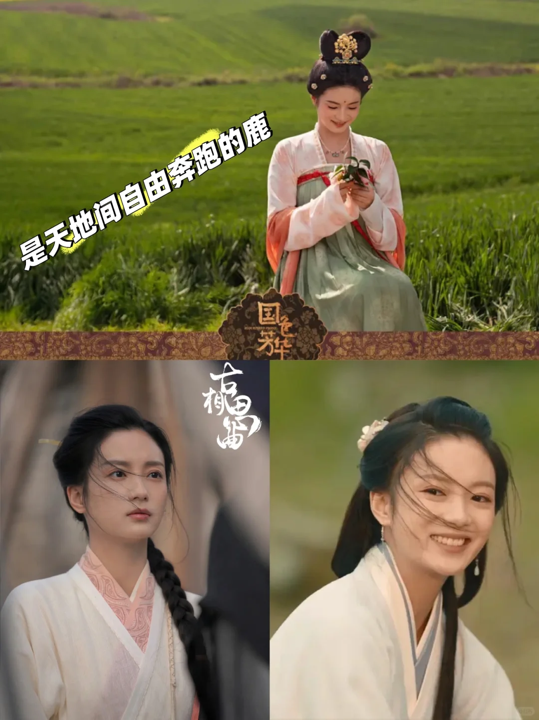 张雅钦——淡妆浓抹总相宜