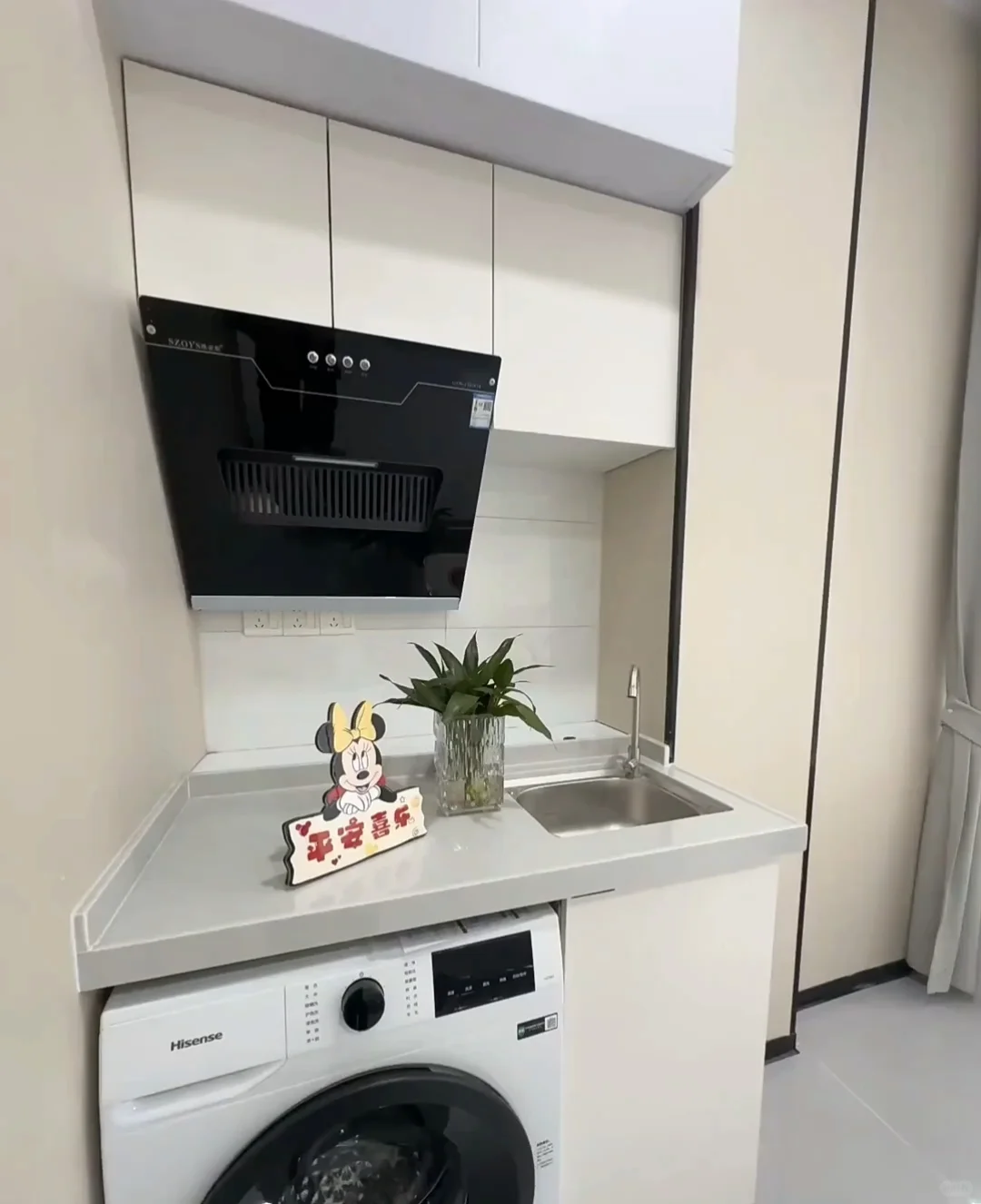 苏州独栋公寓，单间800起，可过度押一付一