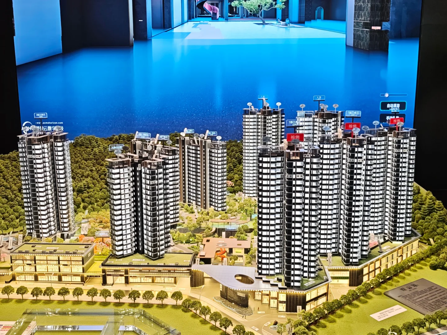 南山公园旁的一手楼盘