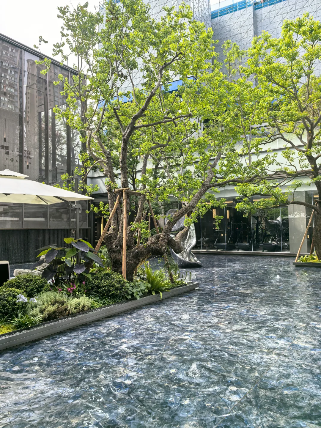 龙泉大面✨新房113平套四180多w，地铁400米