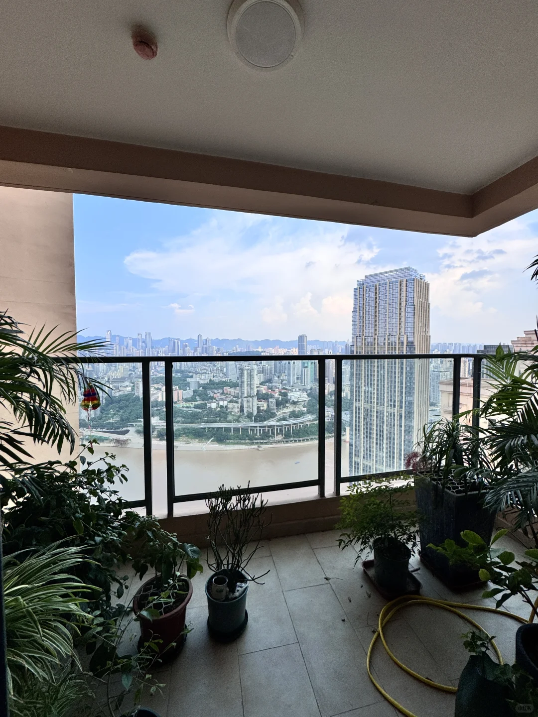 🏠重庆租房｜北滨路 一线江景 三房双卫