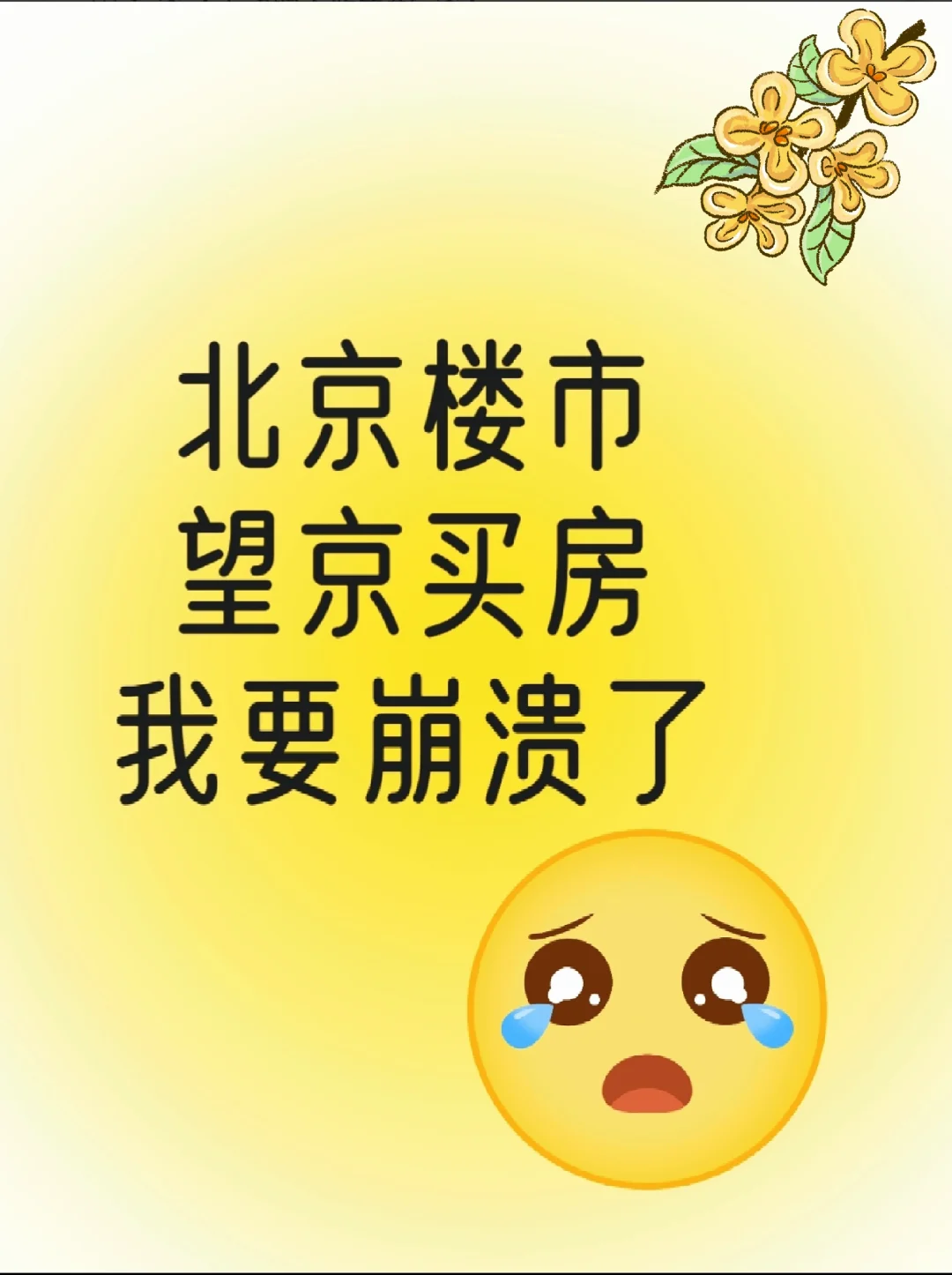 北京楼市，望京买房，我要崩溃了