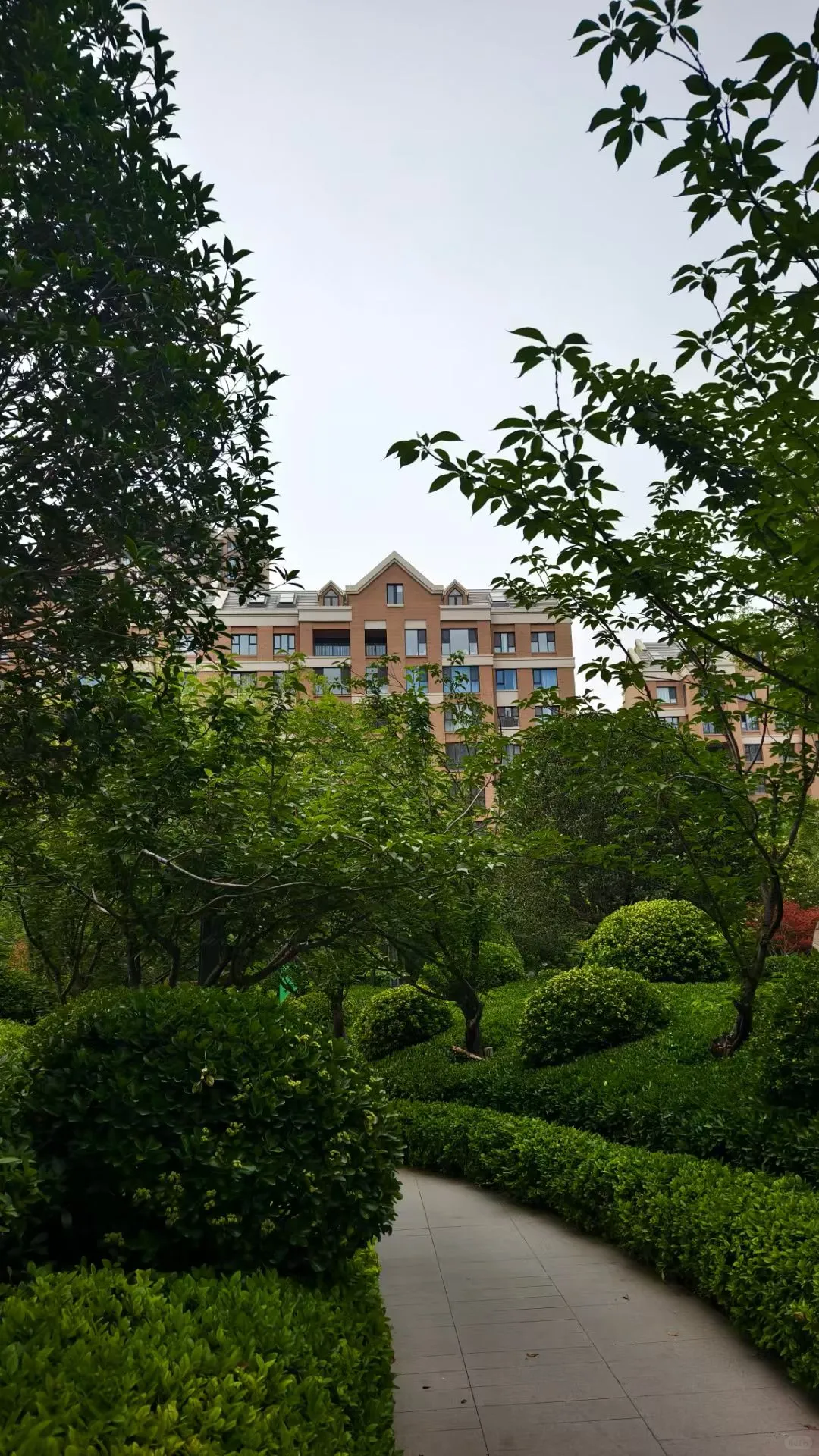 好烦，我到底该怎么选？？