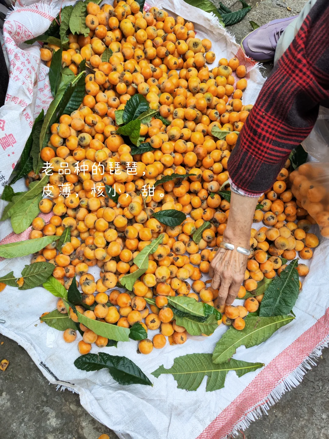 人为什么要为轻松的日子愧疚呢？