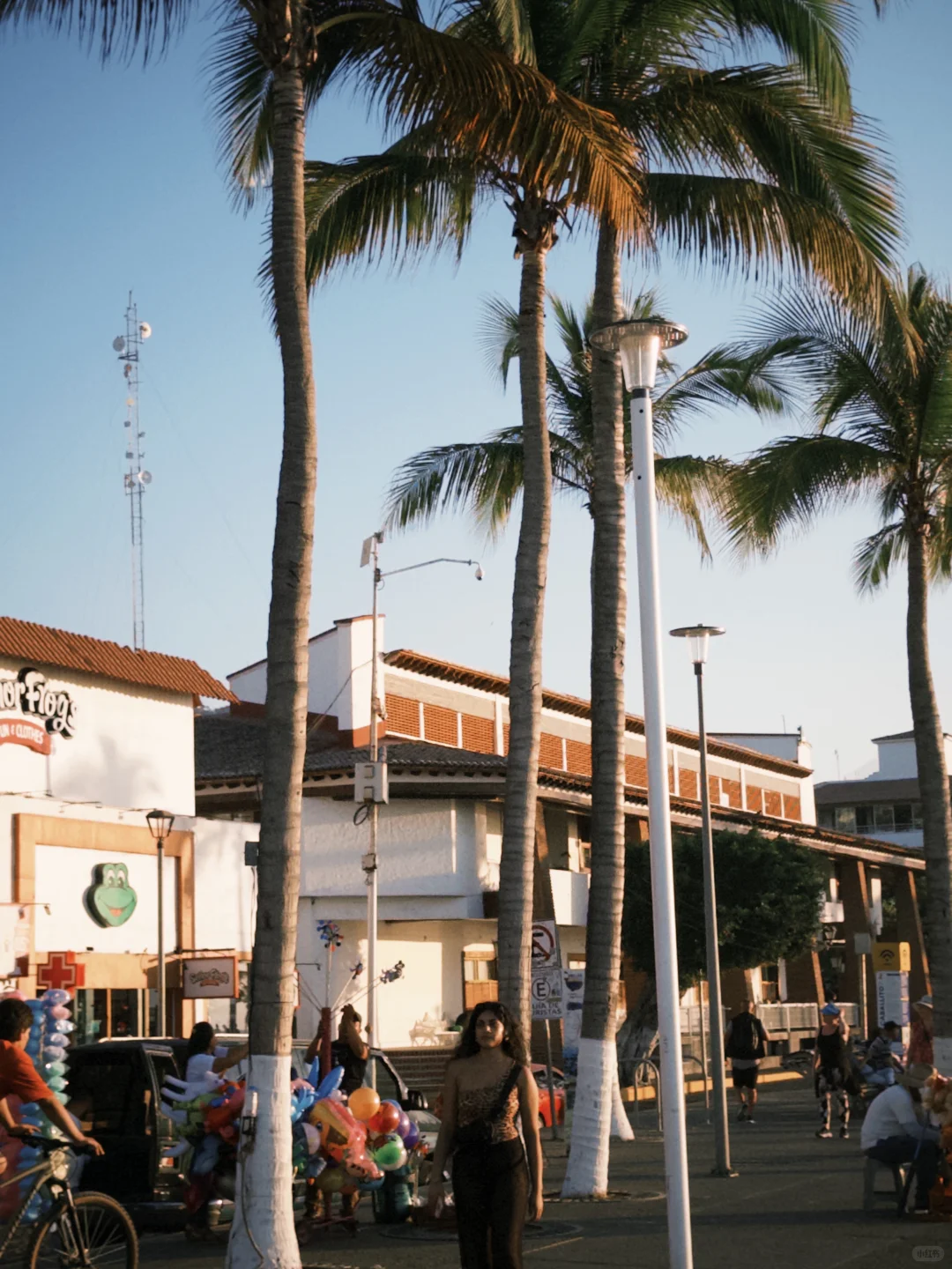 🇲🇽🏝️海岛来信puerto Vallarta
