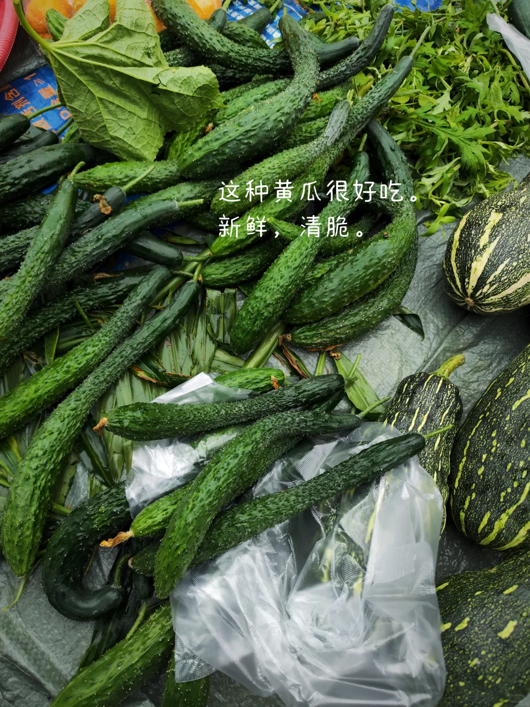 人为什么要为轻松的日子愧疚呢？