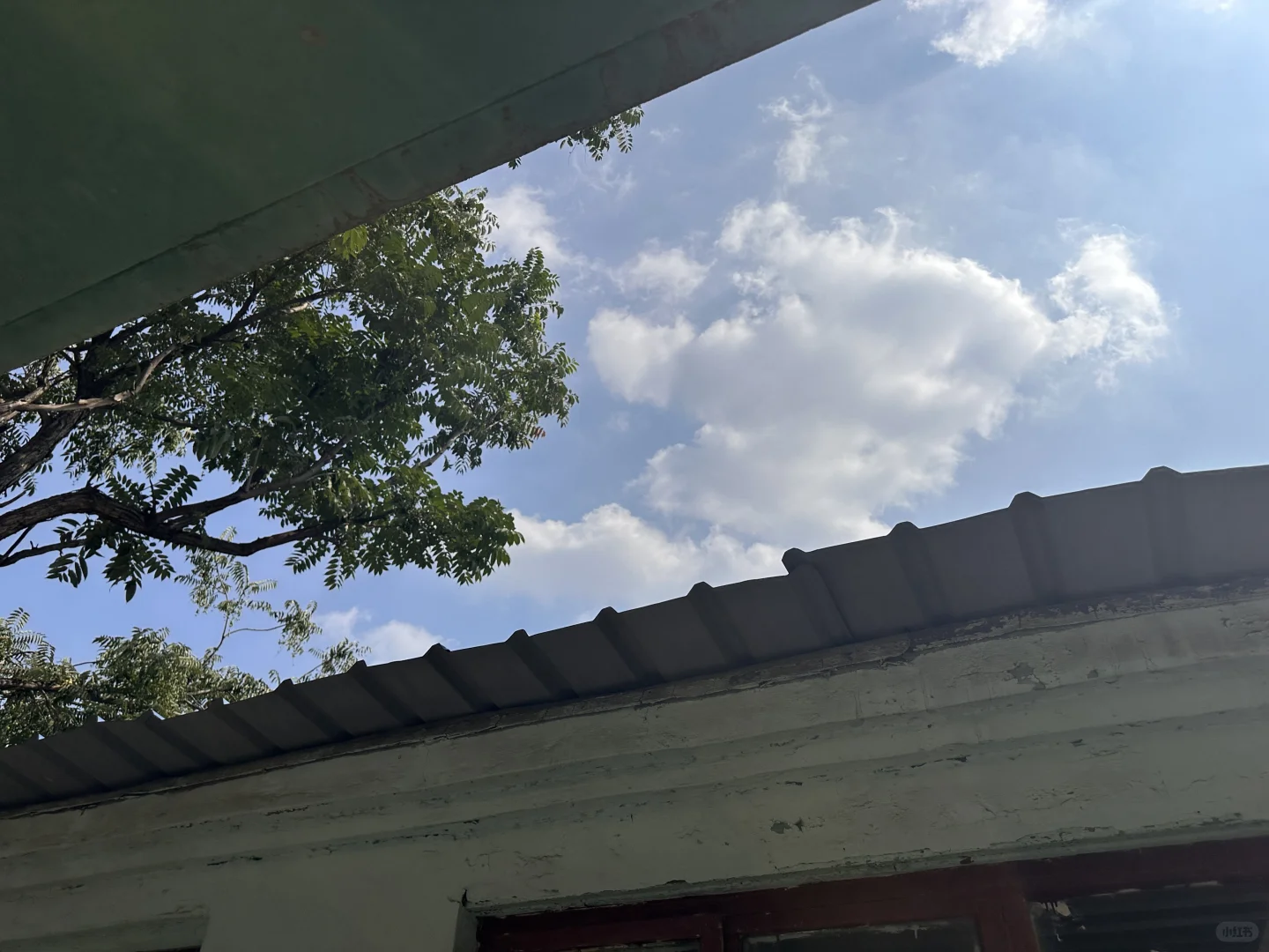 邯郸一楼带院之小院细节