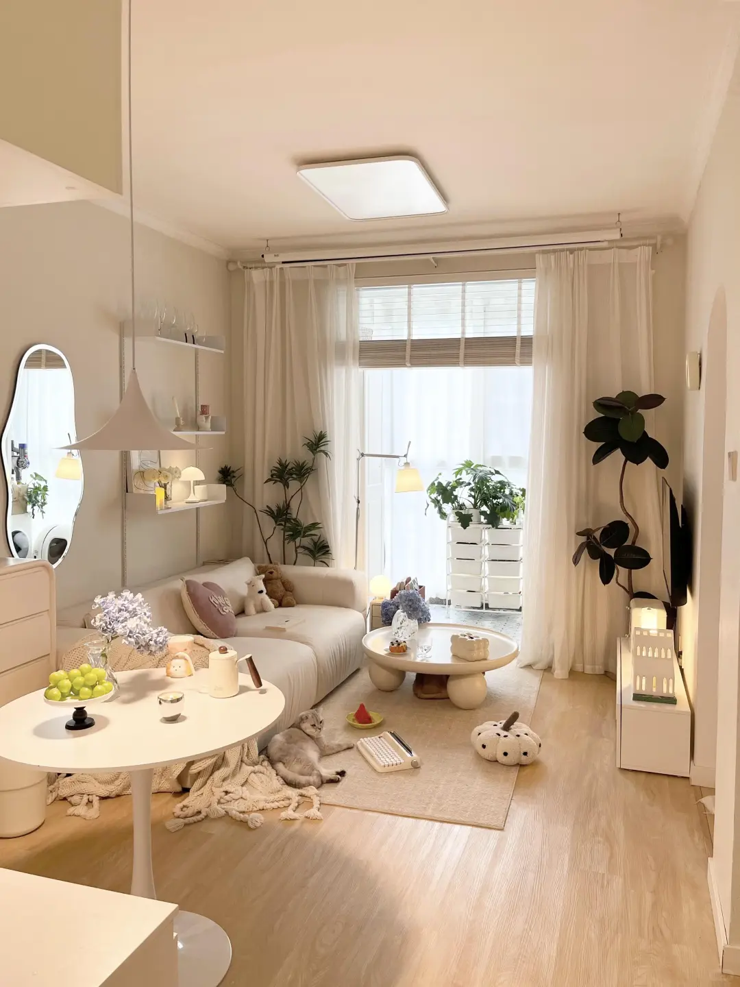 loft的居住体验