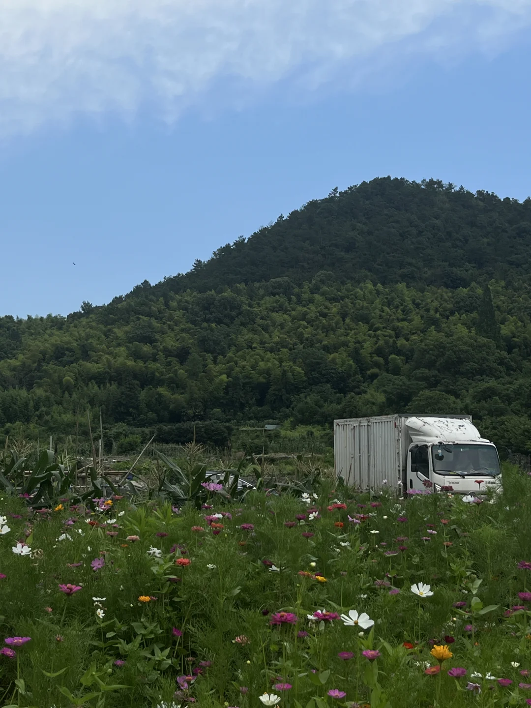 宁波韩岭老街