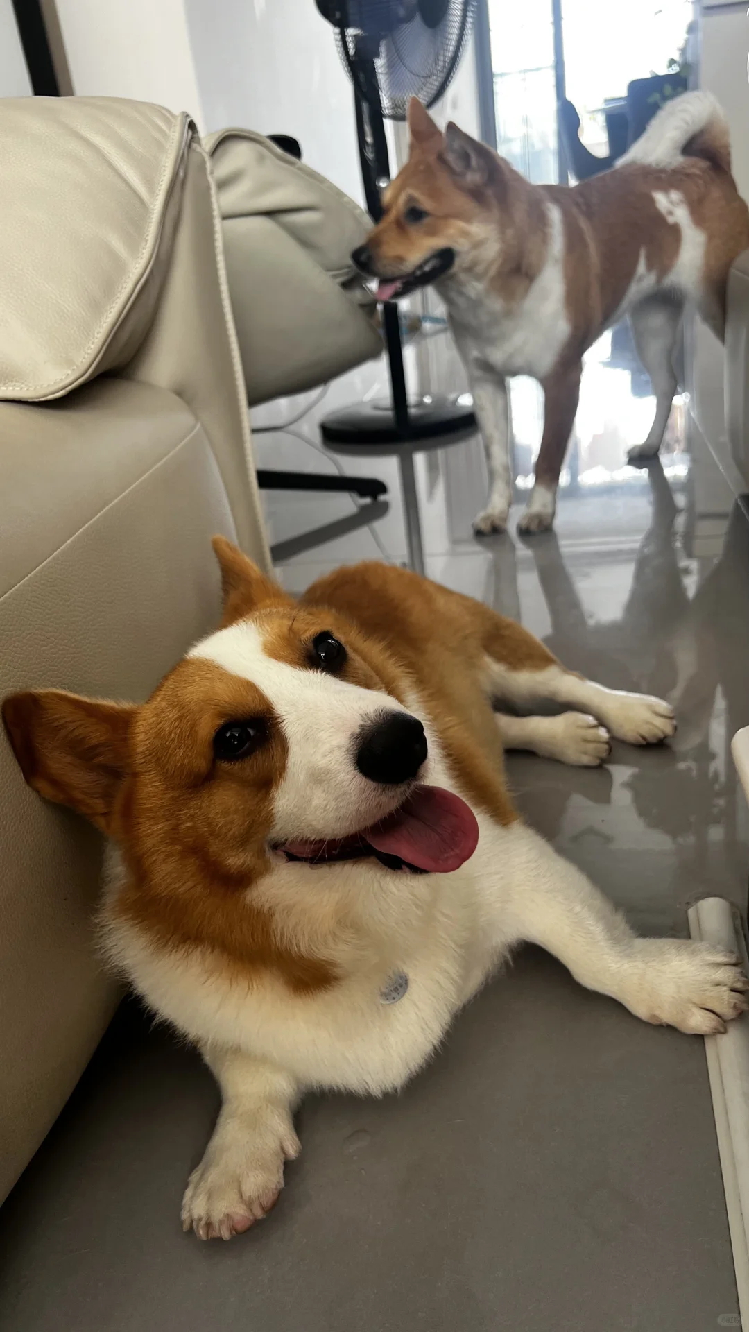 媚眼如丝的丘比特😘