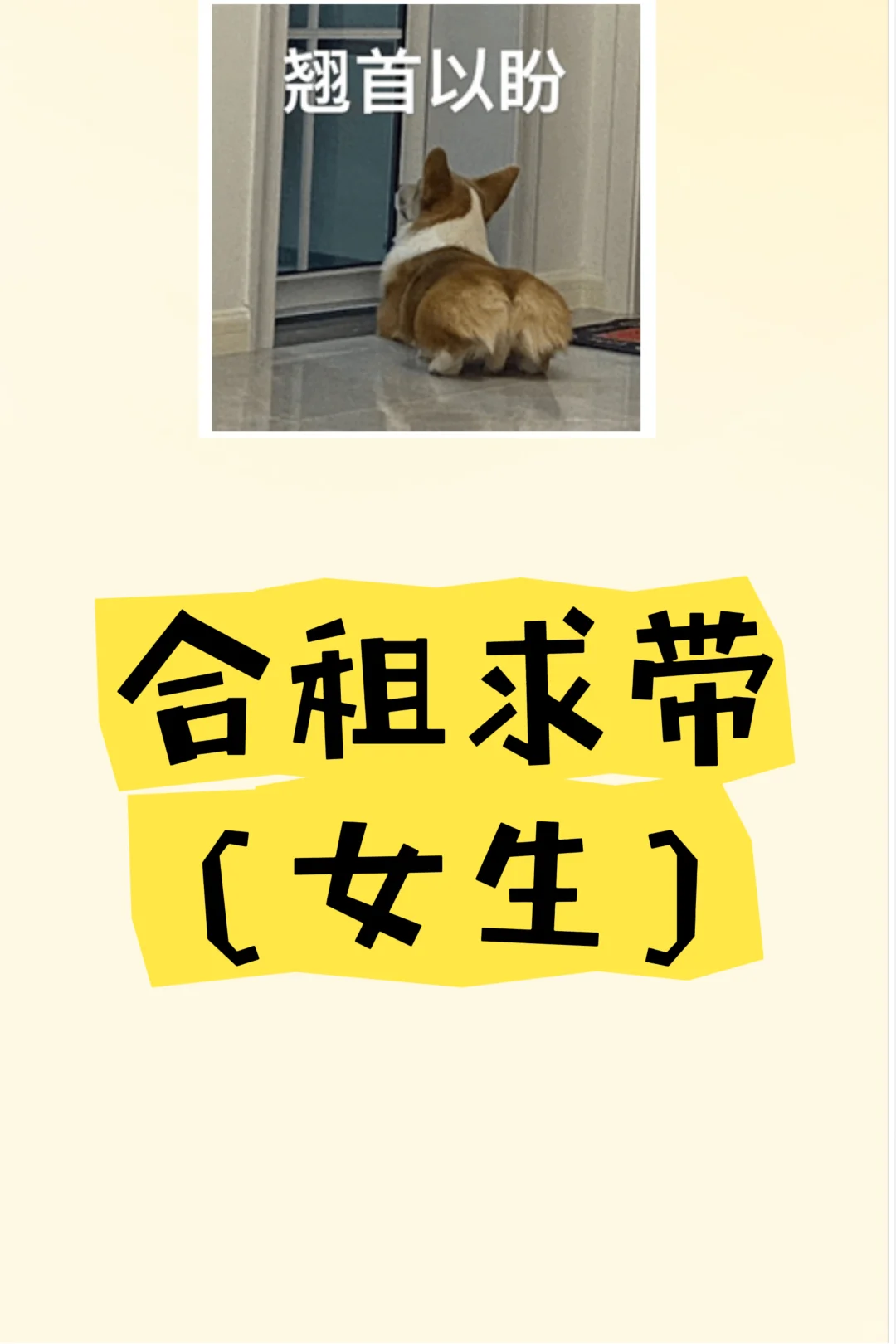 求有房源合租室友(女生)