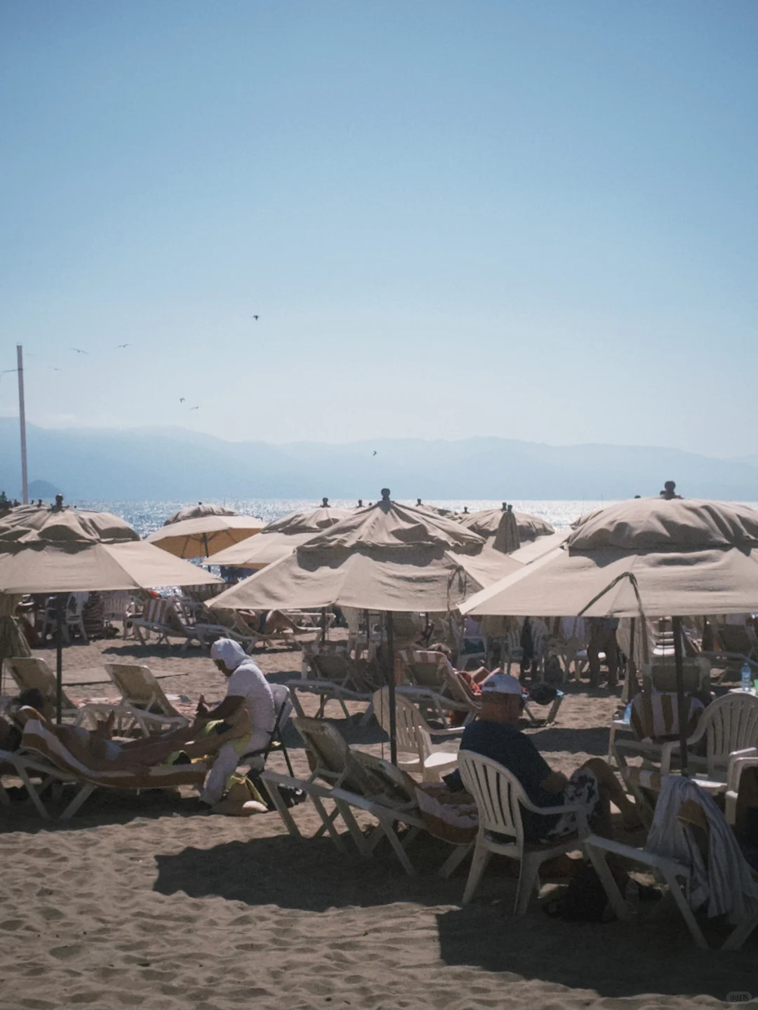 🇲🇽🏝️海岛来信puerto Vallarta