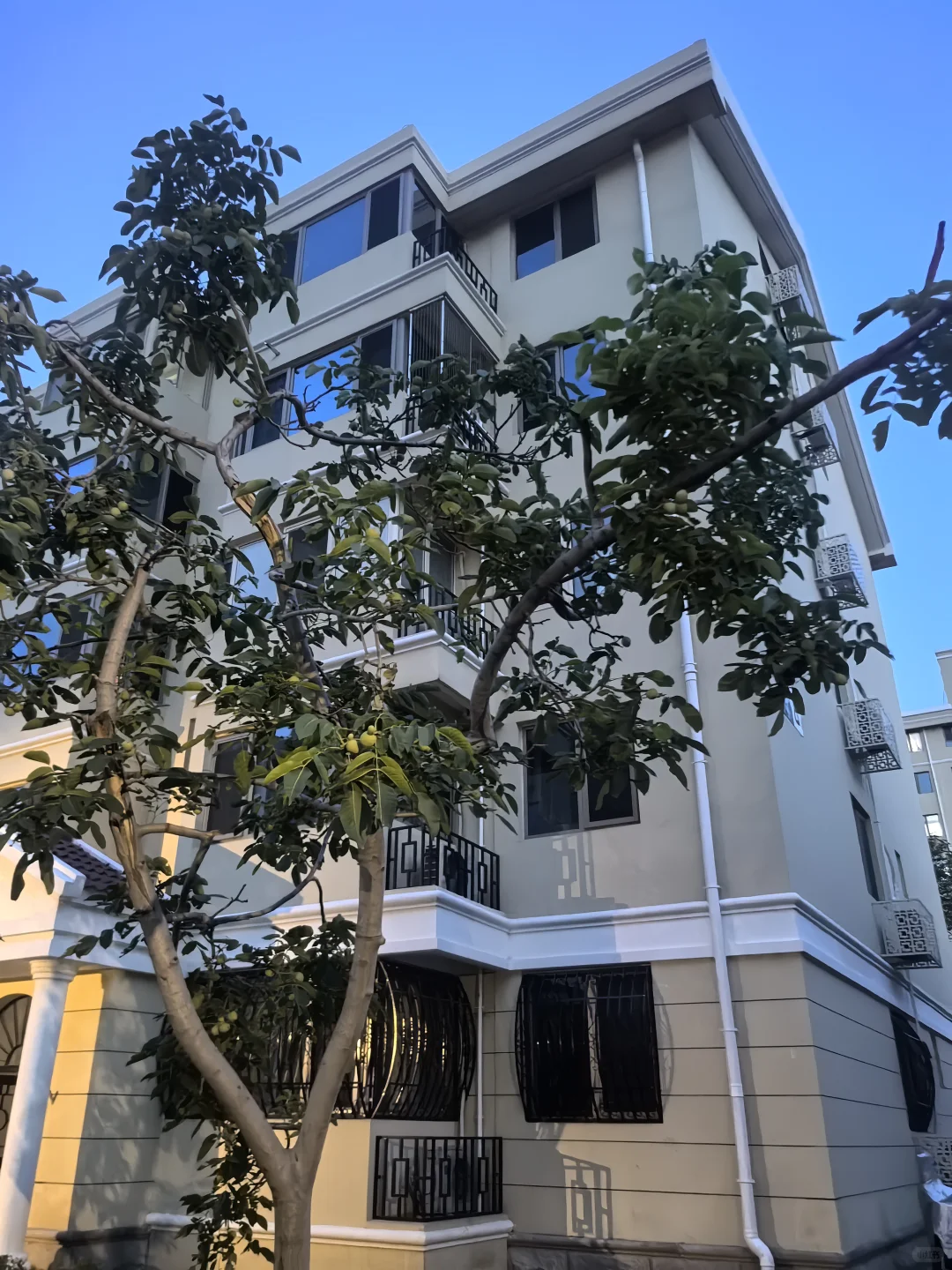一眼就爱上的小高层🏡