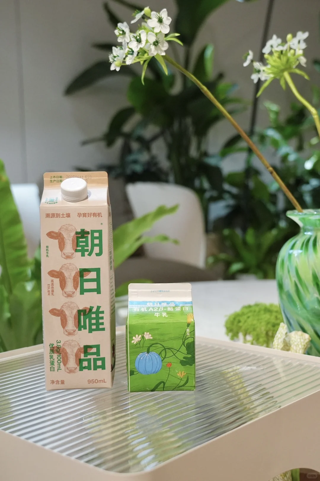 在安福路植物系洋房🌿被初夏的绿意包裹