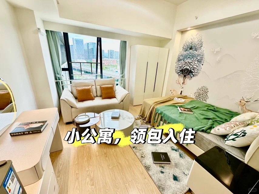 小公寓，领包入住，电梯房