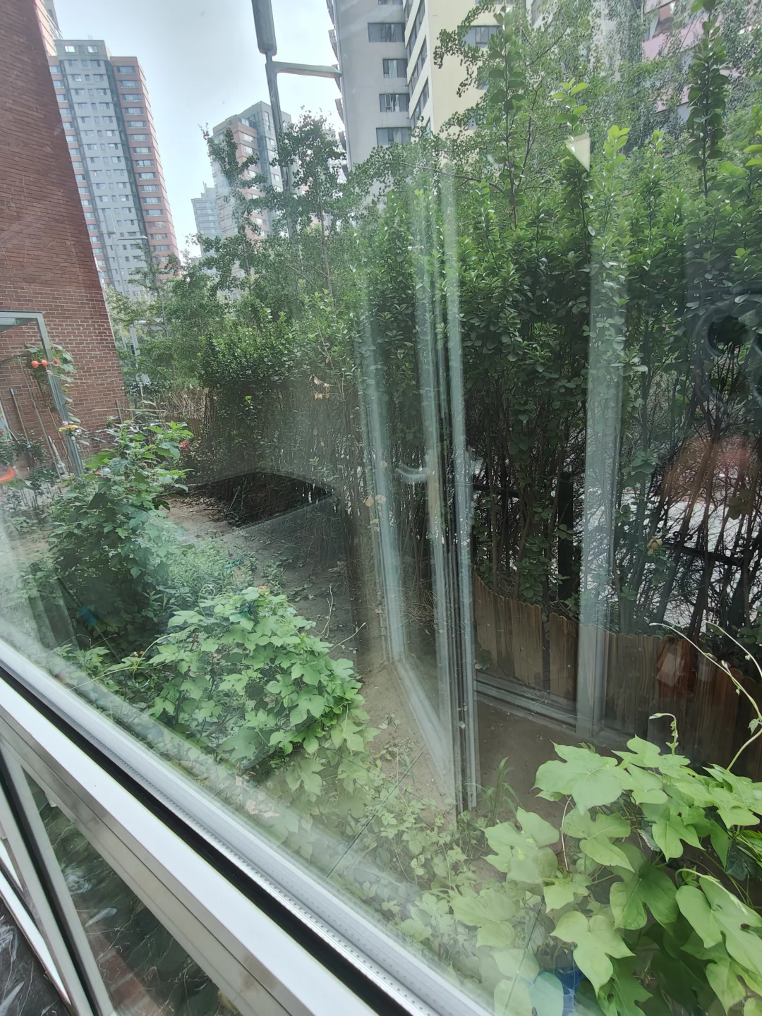 ✨雅致两居 | 一屋典雅实木，一院四季风景