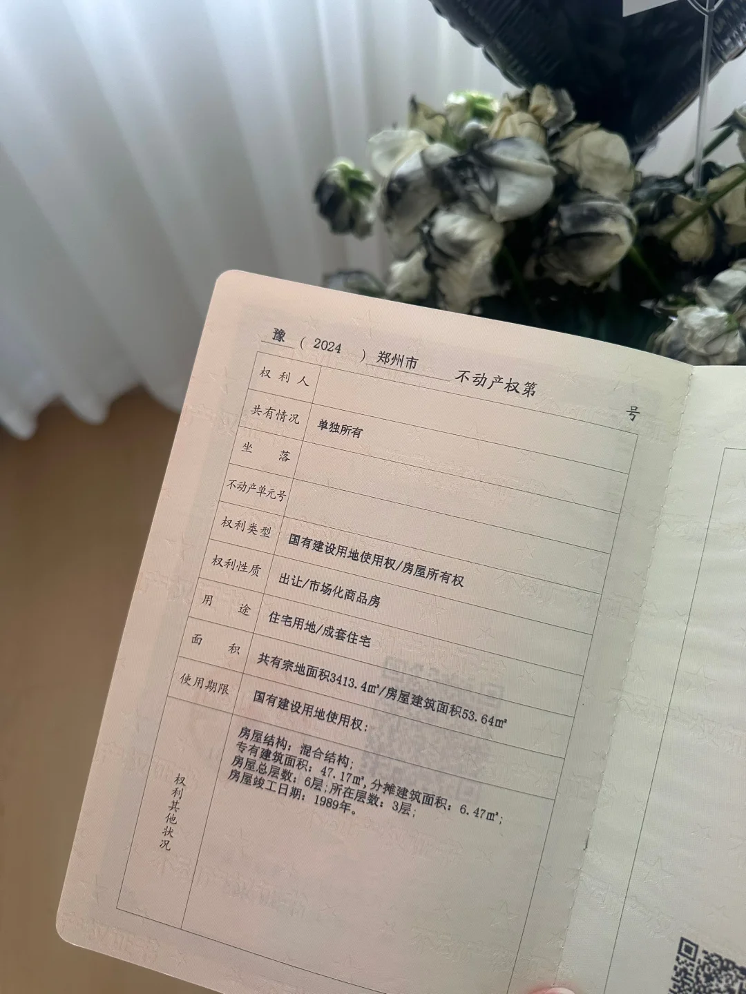 25 岁女孩未婚未育独自买房生活真的很爽