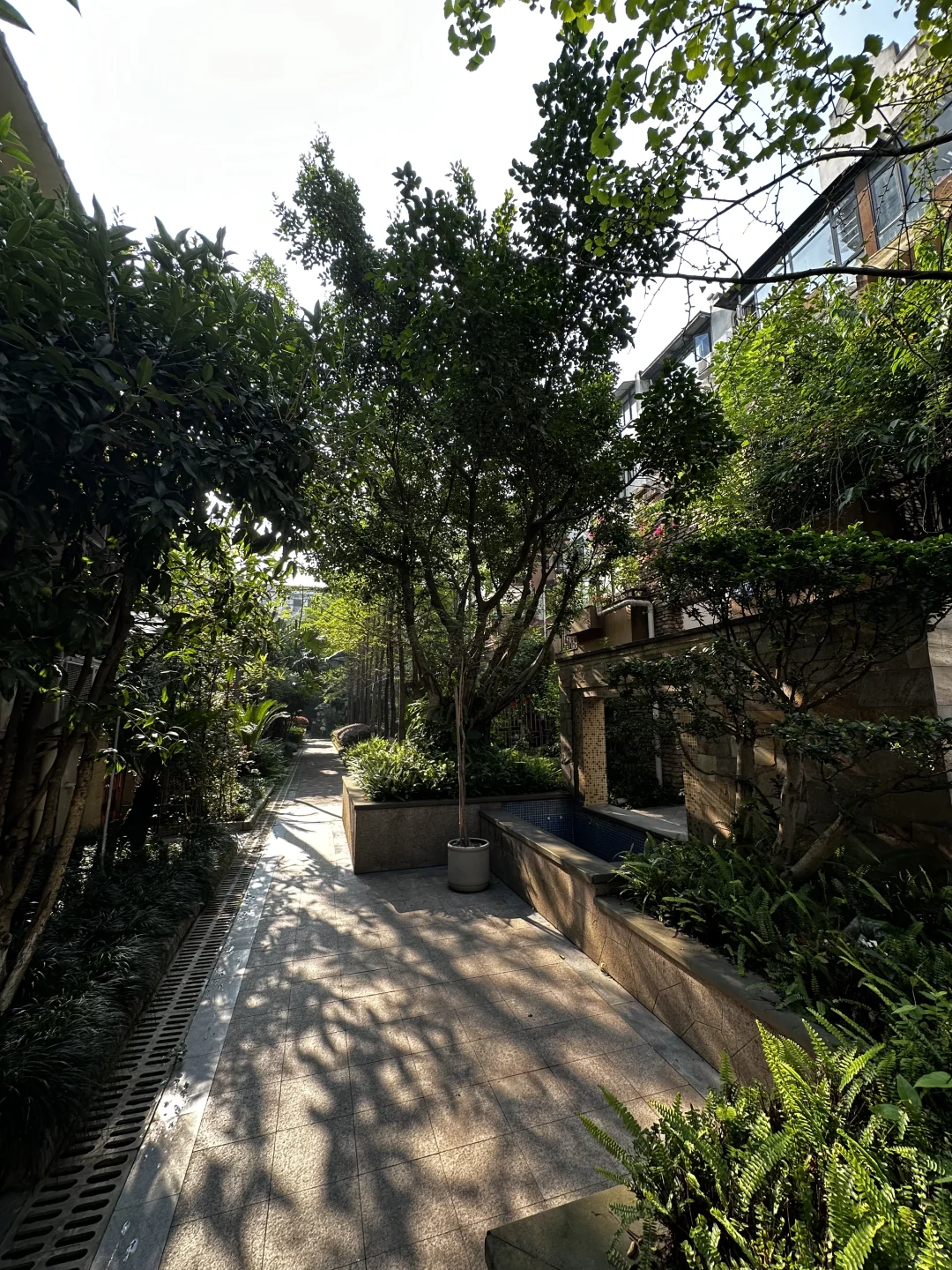 曾经150万，如今110万，有品味的洋房