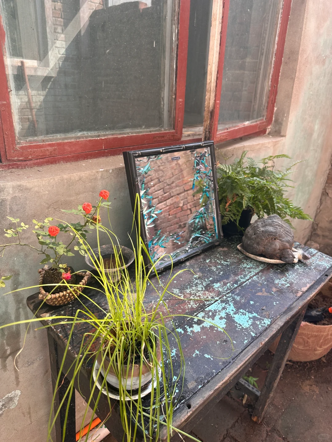 邯郸一楼带院之小院细节