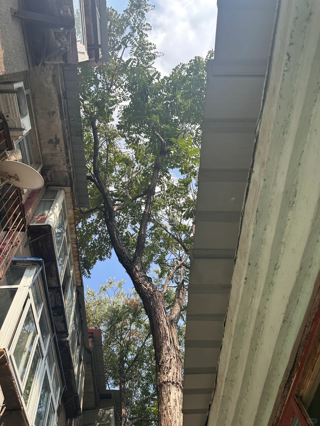 邯郸一楼带院之小院细节