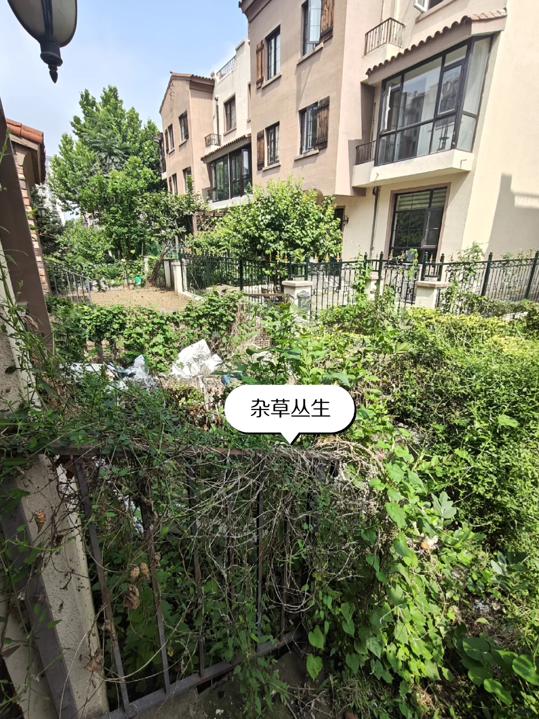 救命！固安看房被价格惊掉下巴