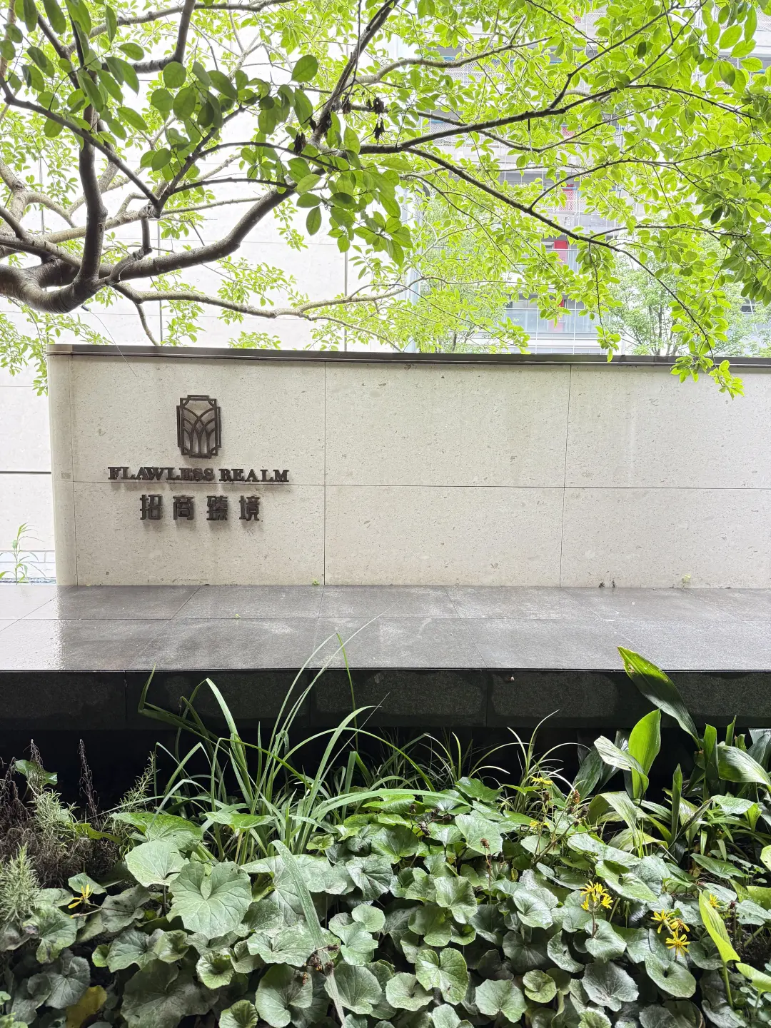 周末暂停一下，先跟老公把房定了三林的新家