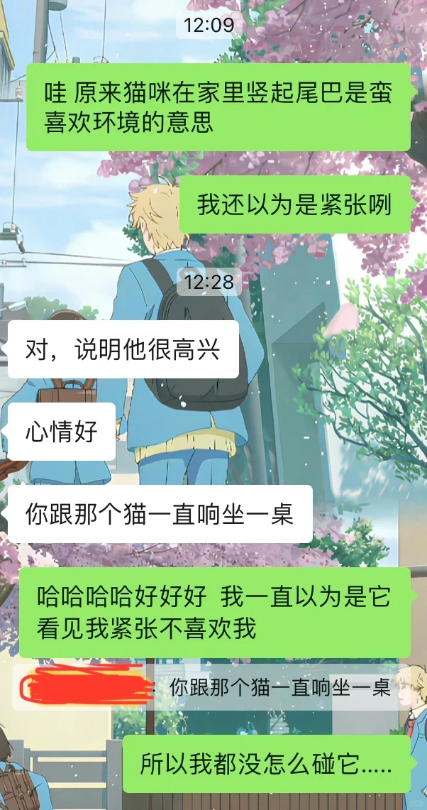 🐱🐱媚眼抛给傻子看了