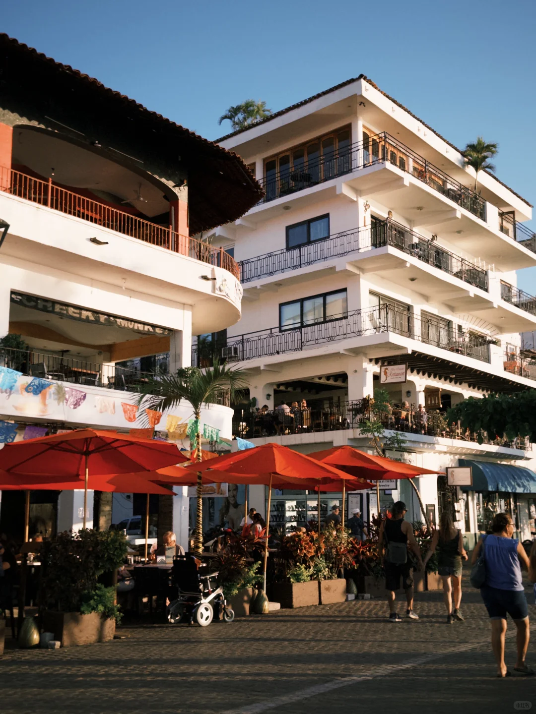 🇲🇽🏝️海岛来信puerto Vallarta