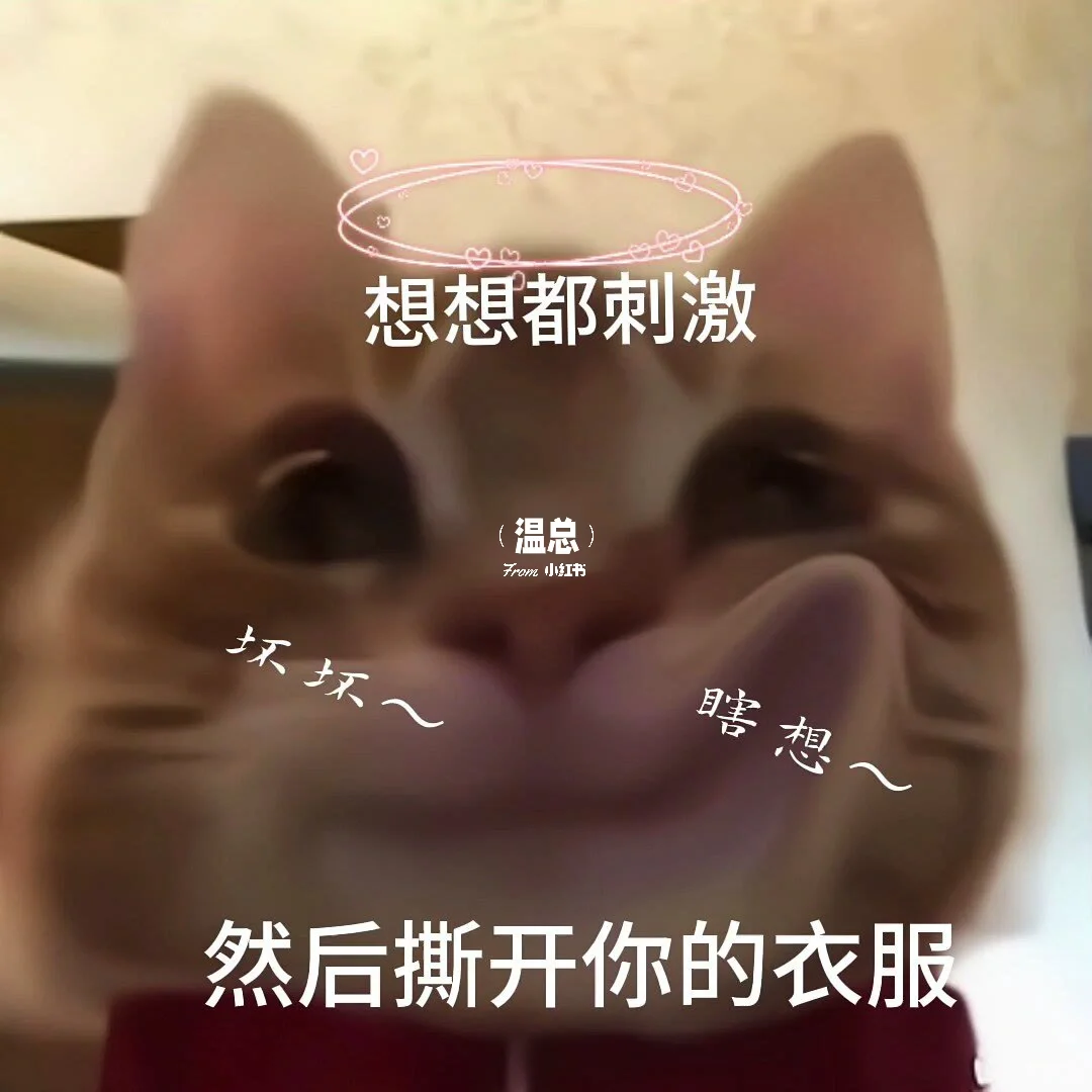 情侣表情包 | 🔞拿去套路男朋友吧