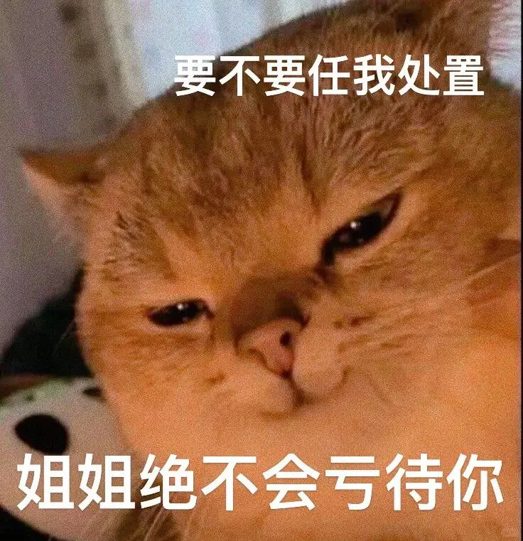 表情包|涩涩女生必备撩汉神器🫣🫣🫣