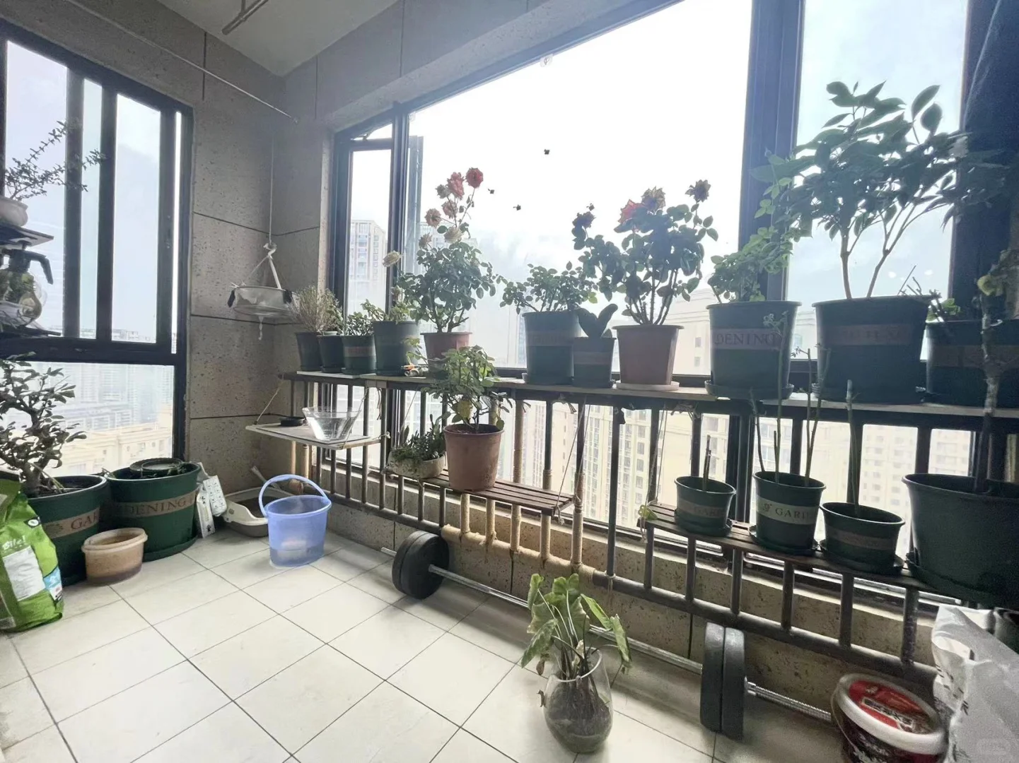 听说小红书可以卖房了～龙泉大面，套二。