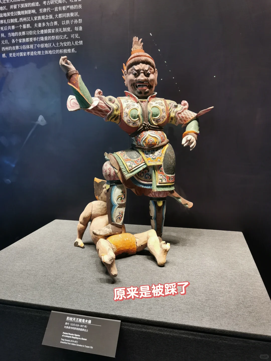 新疆博物馆|凑近一看妈耶这是啥😳