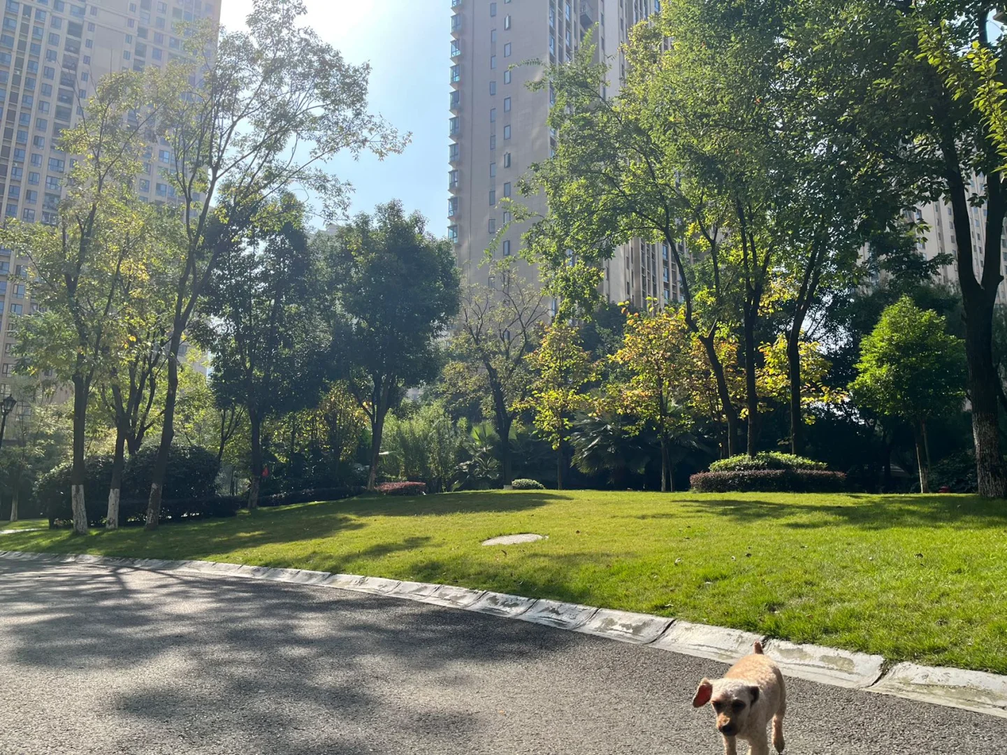 听说小红书可以卖房了～龙泉大面，套二。