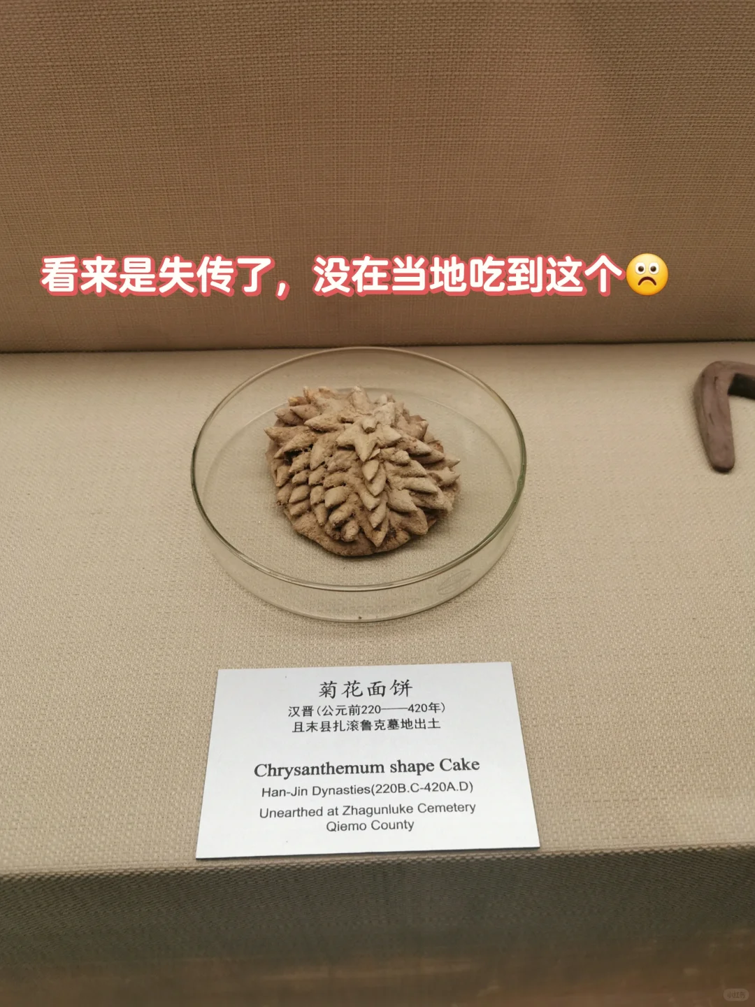 新疆博物馆|凑近一看妈耶这是啥😳