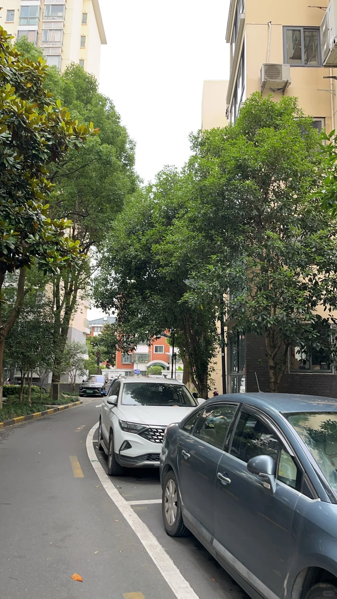 看房日记之莘庄南广场