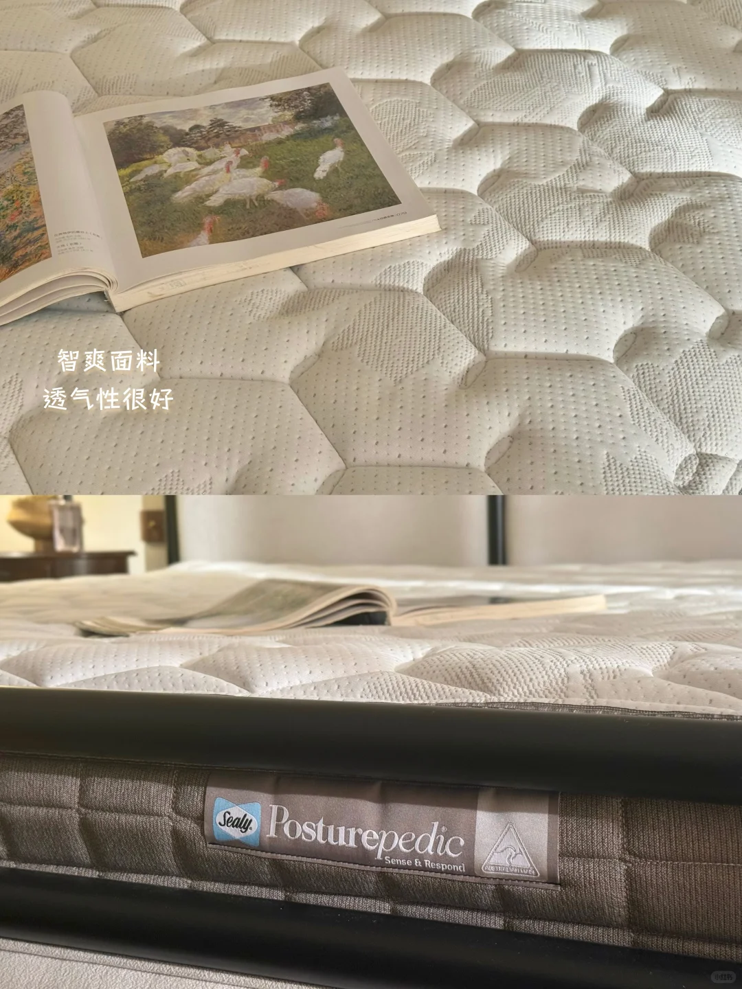 住进树景老洋房，每一寸空气都在滋养我