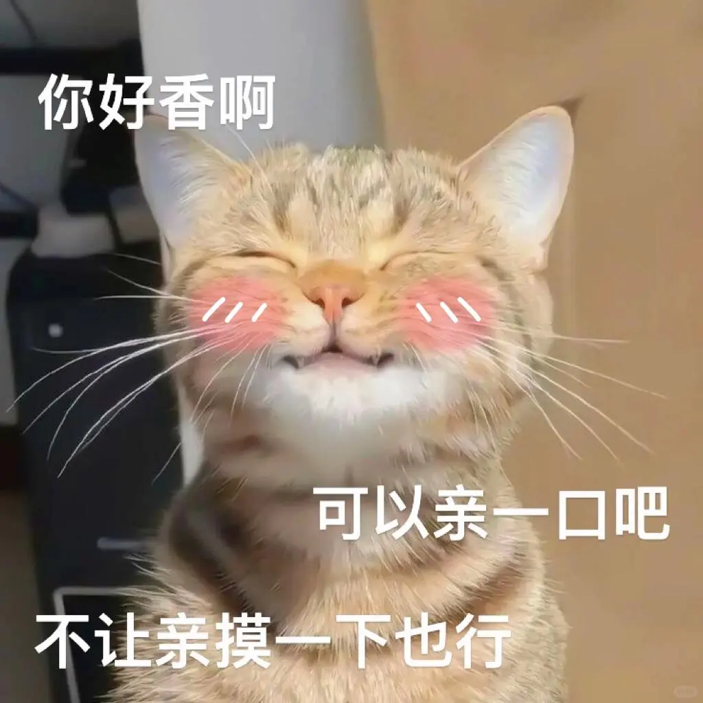 表情包|涩涩女生必备撩汉神器🫣🫣🫣