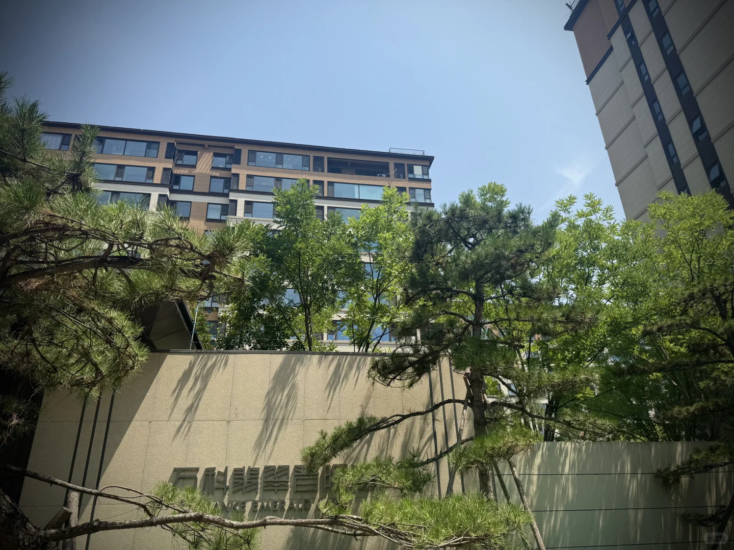 洋房才是归宿