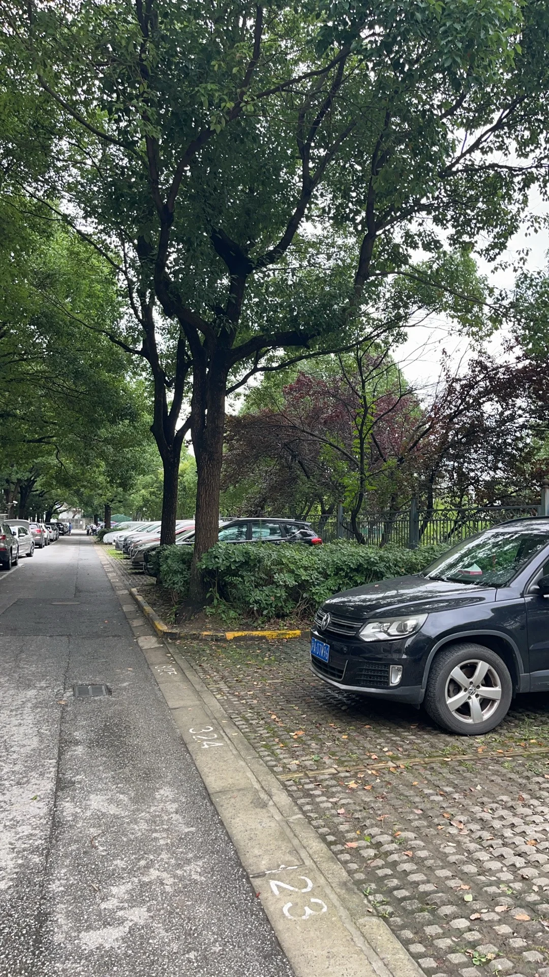 看房日记之莘庄南广场