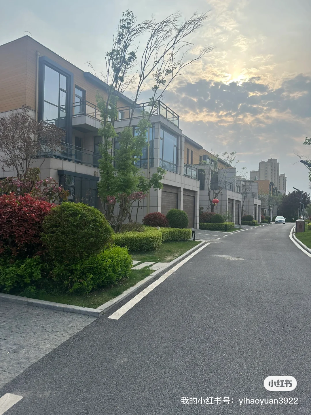 在邯郸！！今日实景～