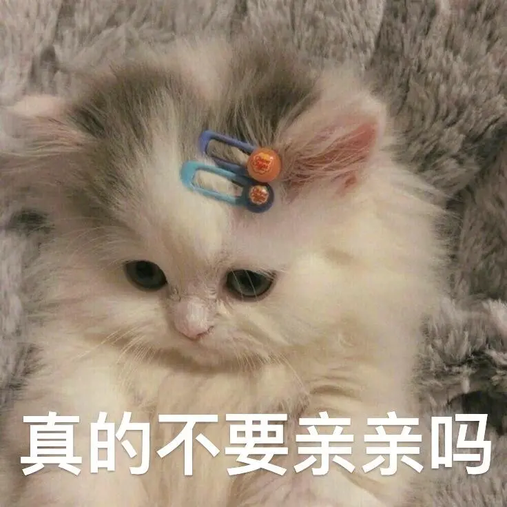 表情包|涩涩女生必备撩汉神器🫣🫣🫣