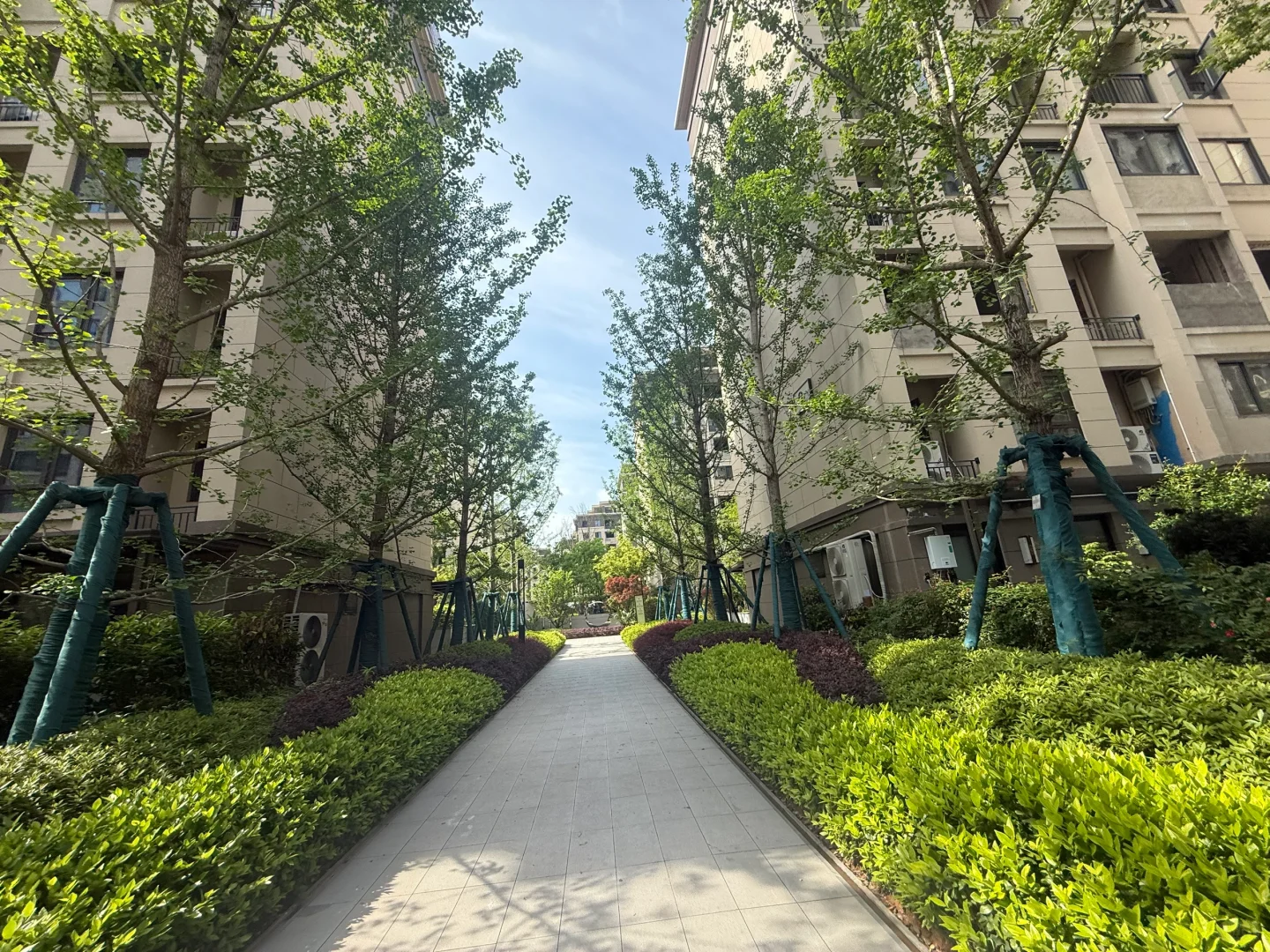 大足看看你适合哪个小区