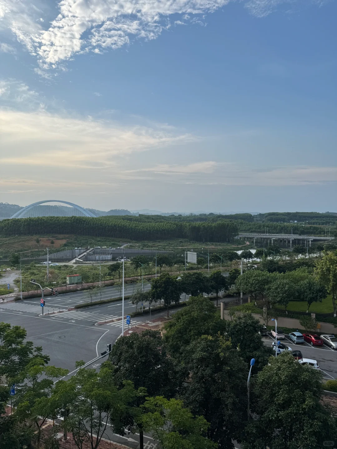 柳东买房 | 好梦与现实撞了个稀巴烂
