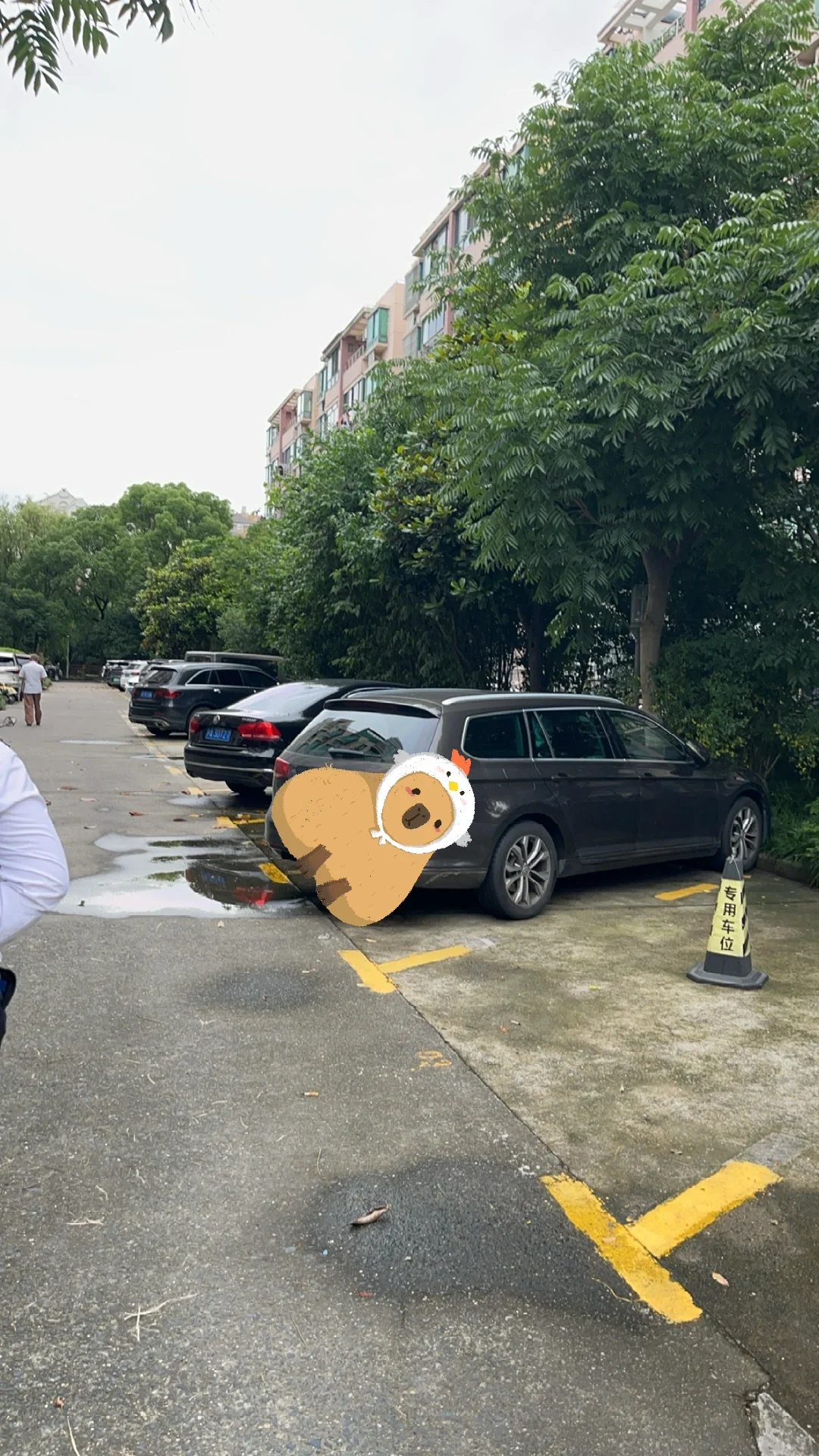 看房日记之莘庄南广场