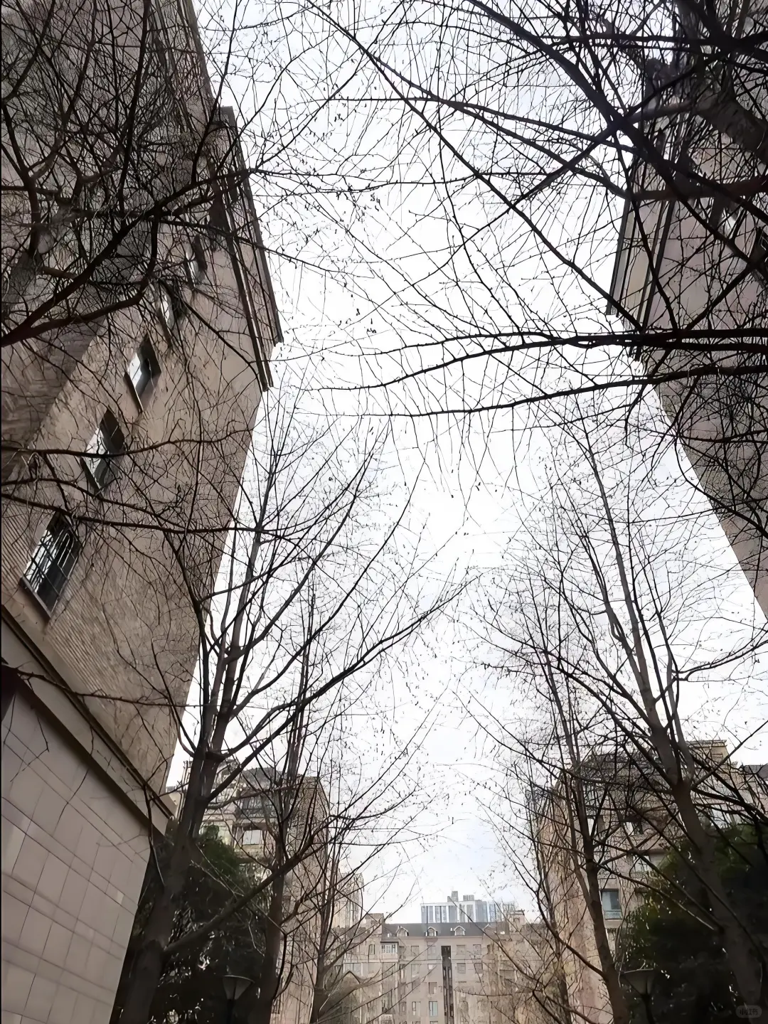 看房笔记——长房星城世家