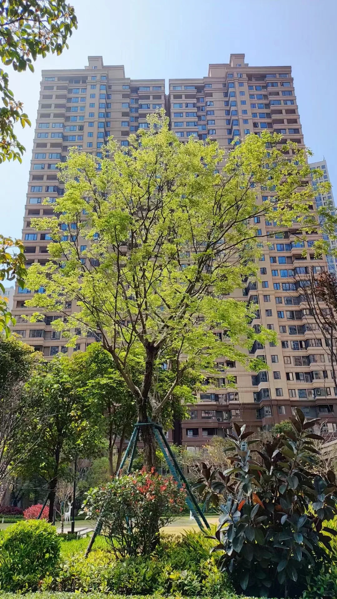 盘点2024福州零（低）首付的楼盘