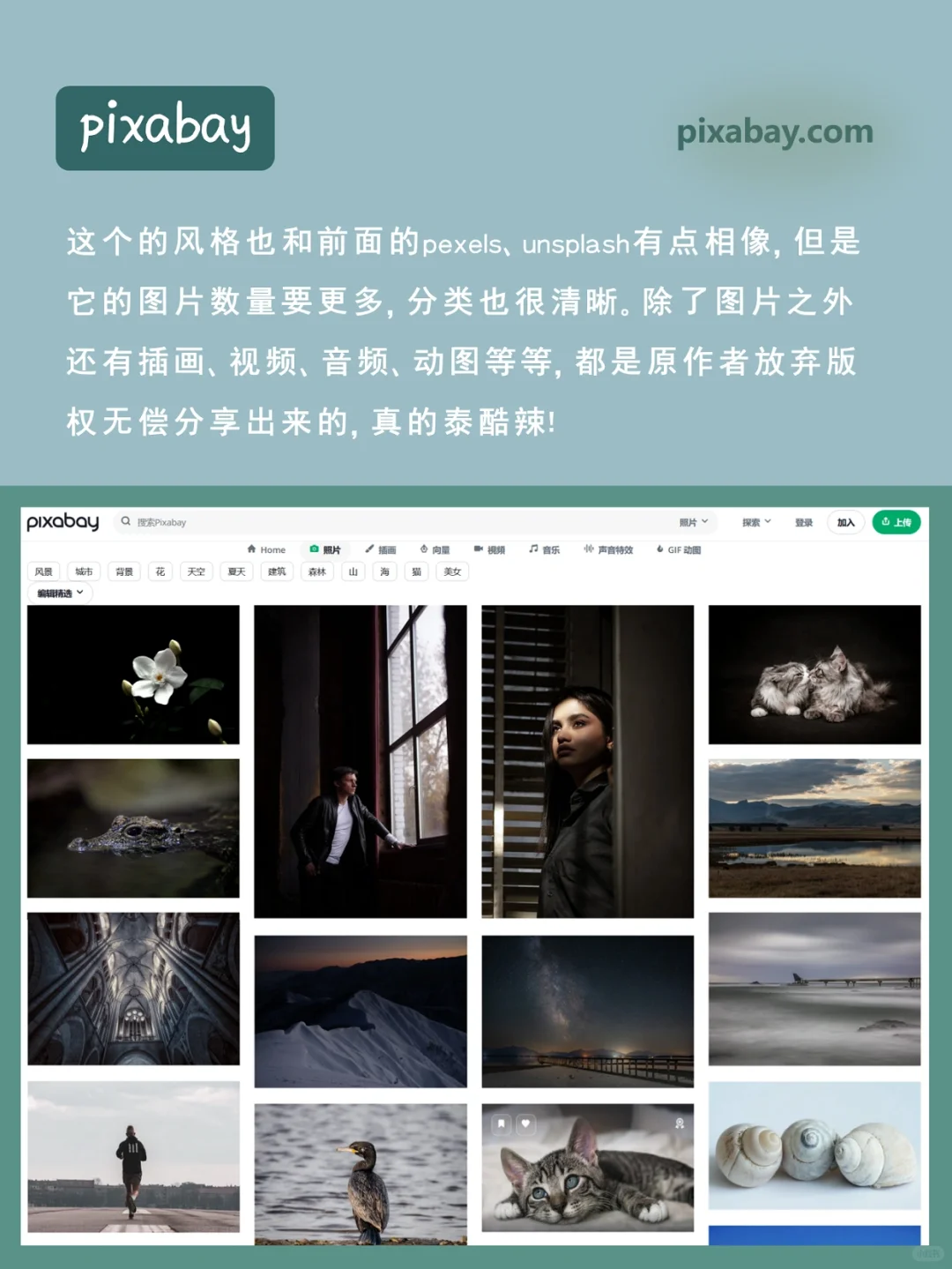 快码住❗这7个高质量壁纸网站让你壁纸自由