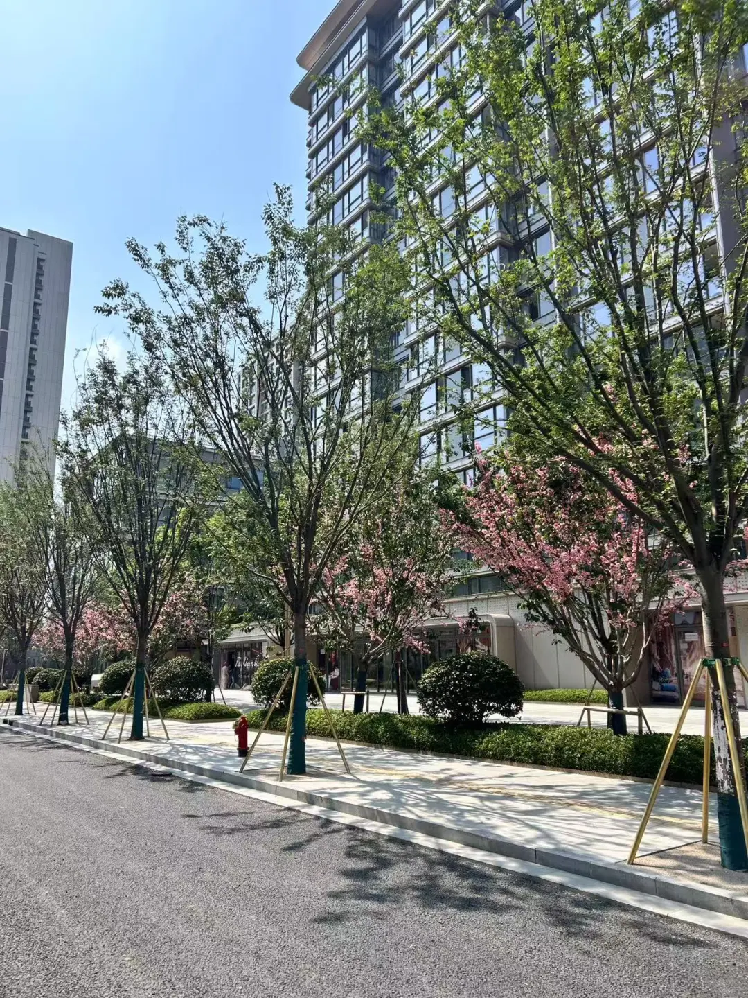 苏州相城卷王，原总价180w，现总价100w大三