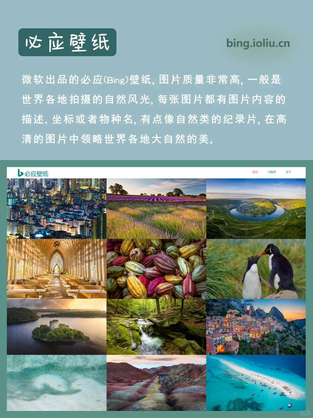 快码住❗这7个高质量壁纸网站让你壁纸自由