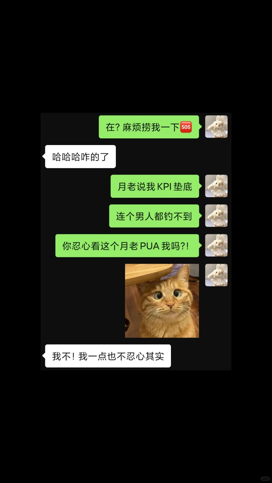 撩crush，顺手的事儿。